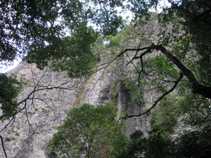 画像 124.jpg